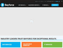 Tablet Screenshot of bayforce.com